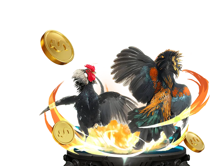 Kèo BDD (Hòa) trong đá gà 6ff10