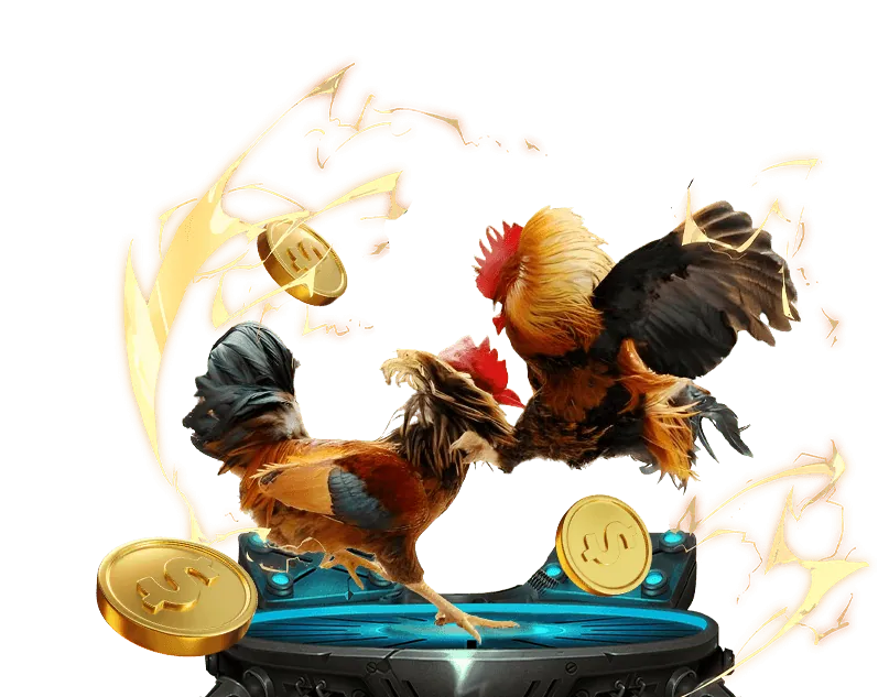 Kèo Meron trong đá gà 6ff10